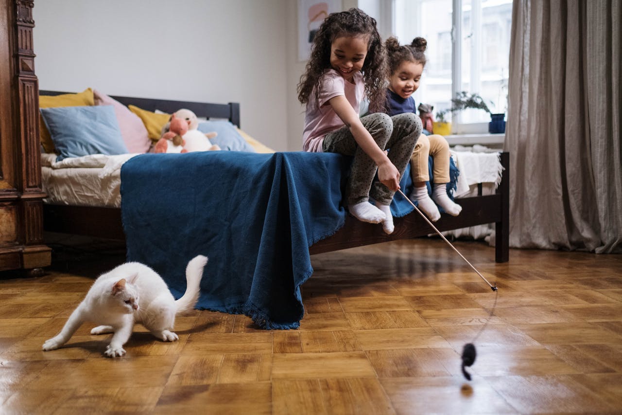 Un chat et des enfants à la maison ? Ce que vous devez absolument expliquer aux deux