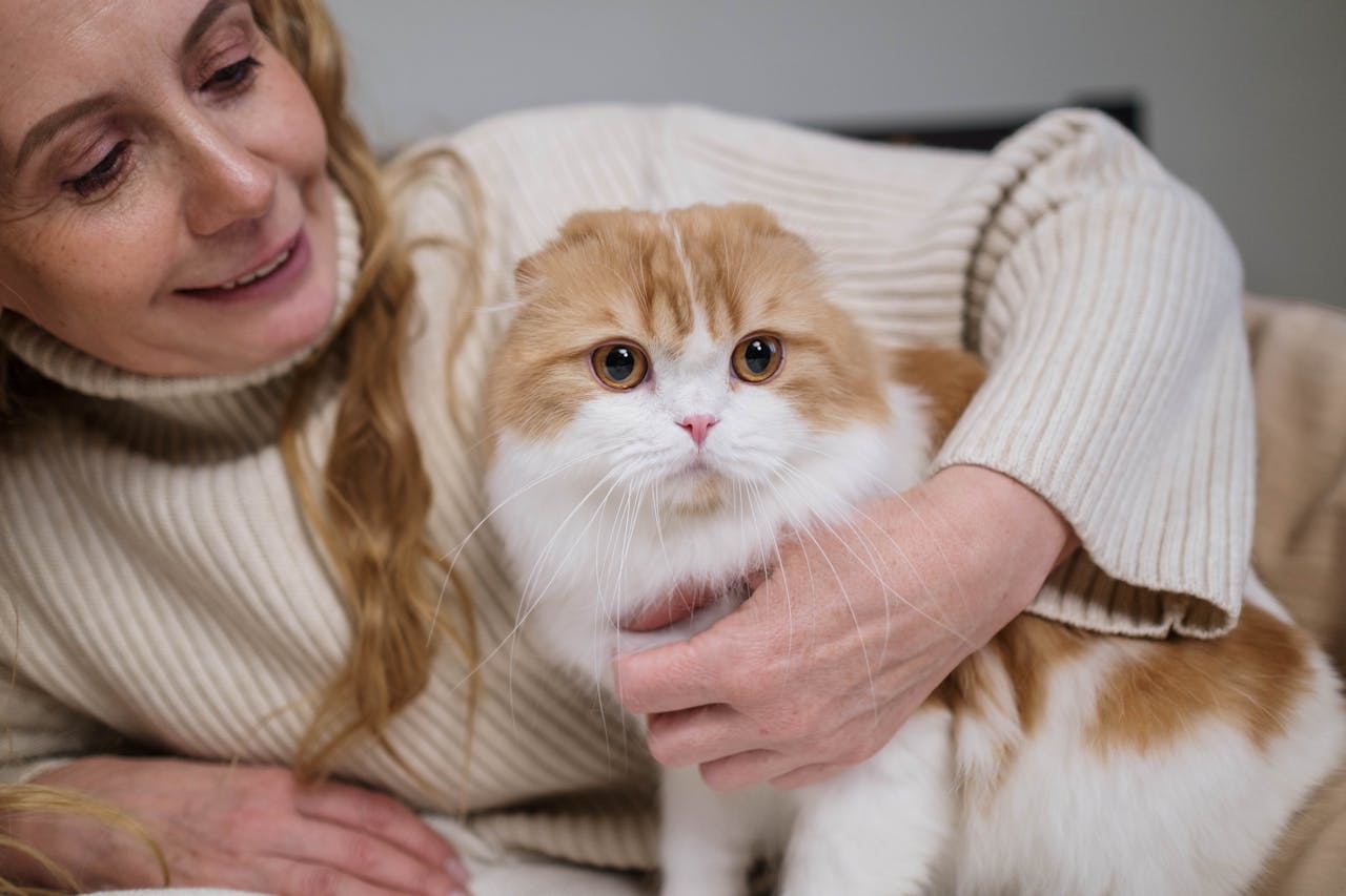 Parler à son chat tous les jours : simple habitude ou véritable transformation du lien ?