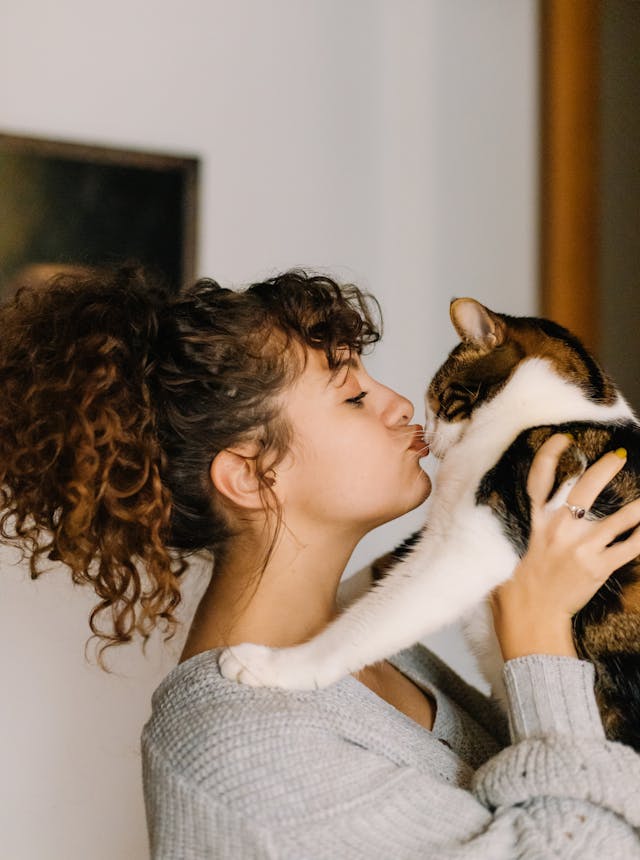 Les 5 langages de l’amour version chats (et comment parler le sien)