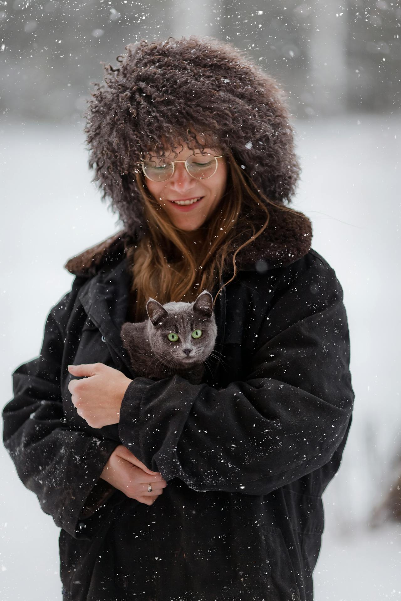 chat humain neige