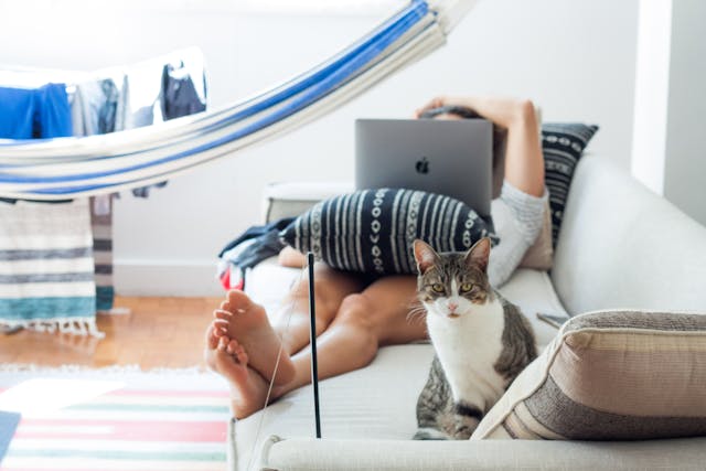 Votre chat ressent votre stress (et voici comment l’apaiser… et vous apaiser)