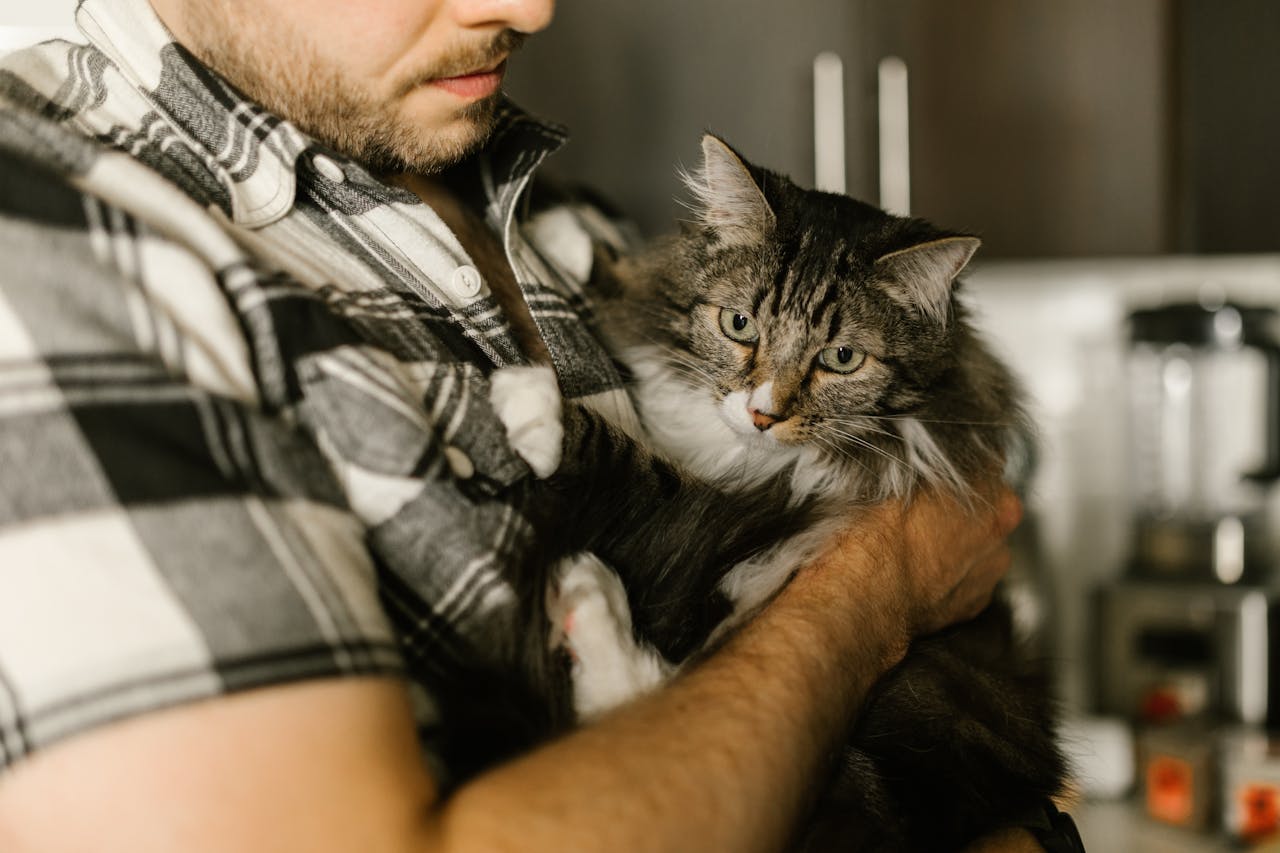 Et si votre chat vous aidait à guérir des blessures anciennes ?